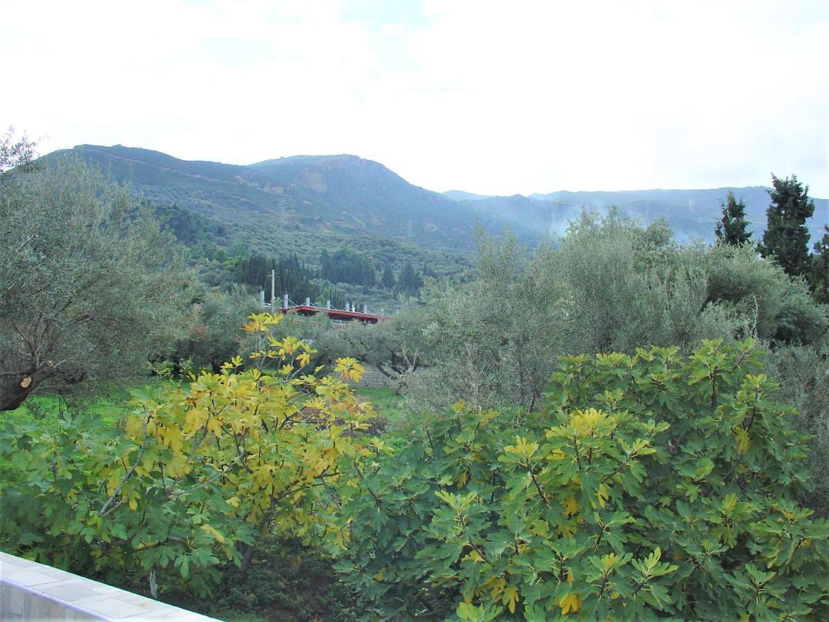 Galini Studios Paralia Platanou Akrata Exterior photo